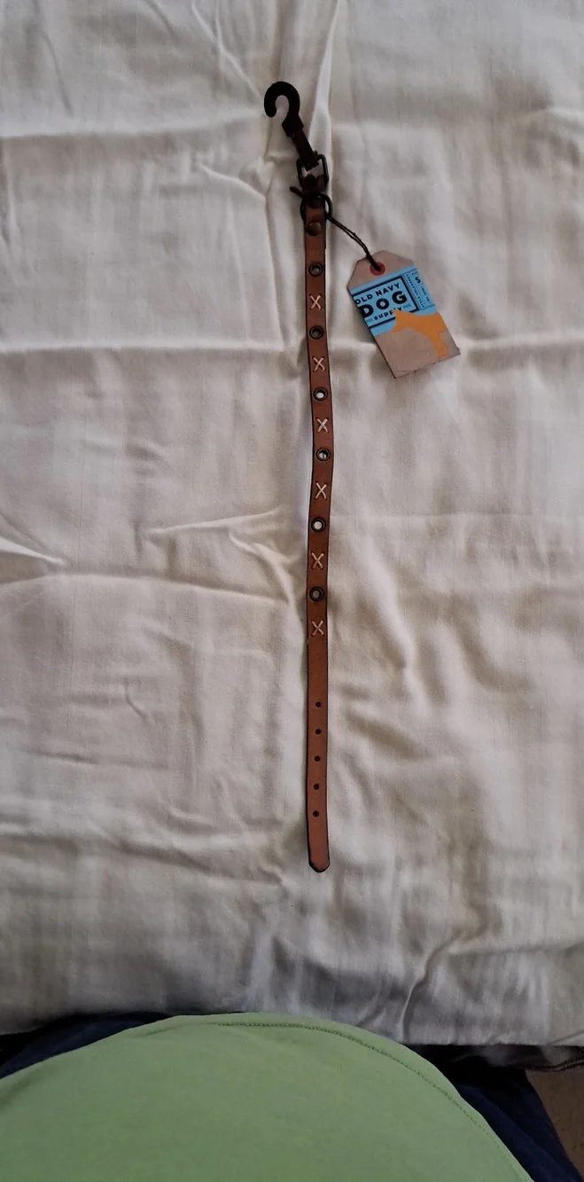 Old Navy Brown Leather Dog Collar with Metal Stud Accents